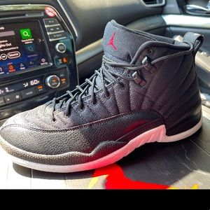 Jordan 12 nylon size 9.5
